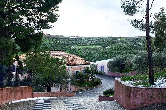 Semi- Private Olive Grove and Dragon Fruit Farm with Tastings - FAQ