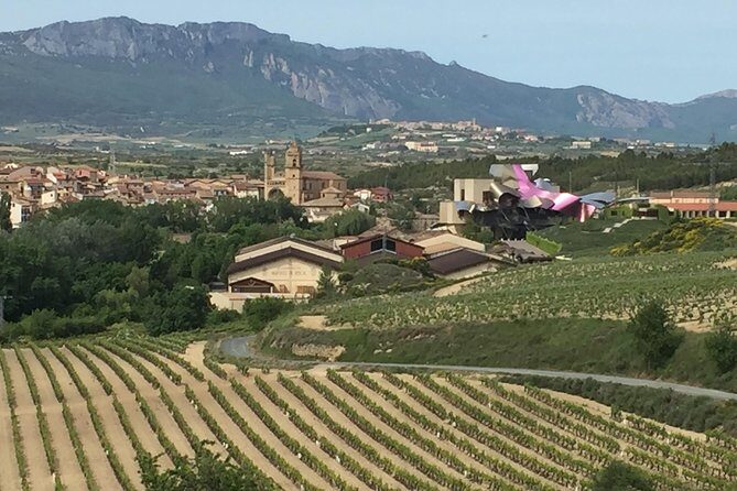 Semi-Private Rioja Tour of 3 Premium Wineries from Bilbao - The Frank Gehry Hotel and Vineyards