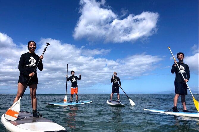 Semi Private Stand Up Paddle Boarding (SUP) Class at Kalama Beach in Kihei - Key Points
