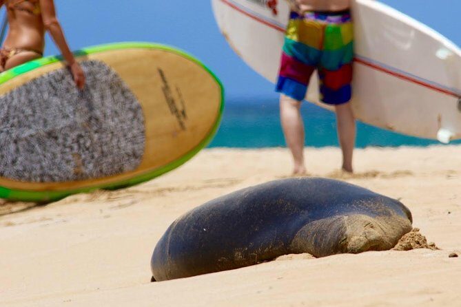 Semi-Private Surf Lesson - Pricing and Overall Value