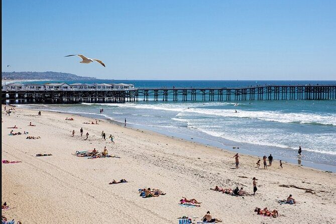 Semi-Private Surf Lesson - Who Should Consider This Tour?