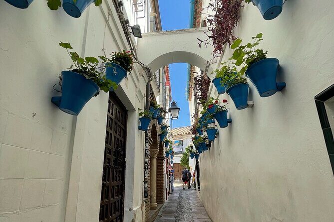 Semi Private Tour to Córdoba from Nerja - Final Thoughts