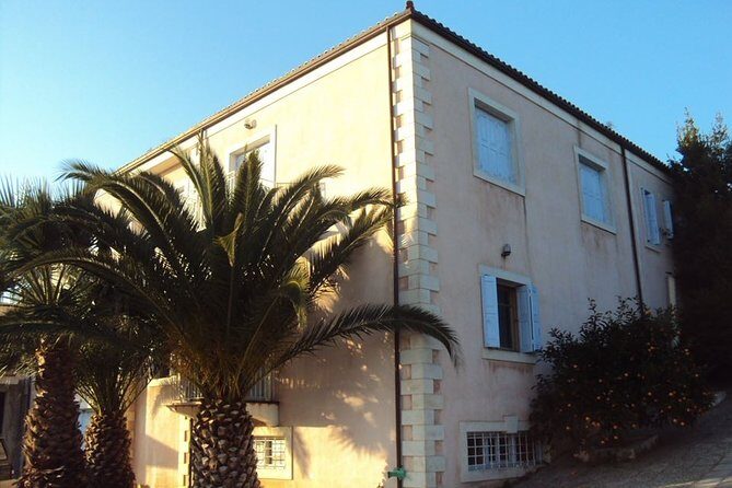 Semi Private Wine and Olive Oil tour (Transfer & Lunch Incl.) - What Makes This Tour Special?