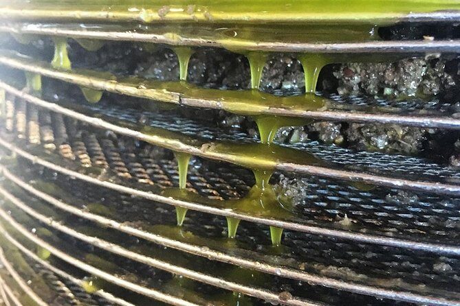 Semi Private Wine and Olive Oil tour (Transfer & Lunch Incl.) - FAQ