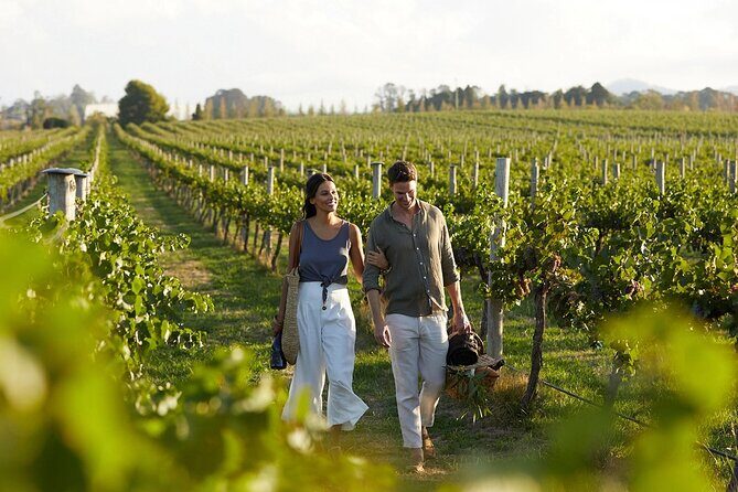 Semi-Private Wine Tour of 2 wineries with wine Tastings - A Closer Look at the Itinerary and Experience