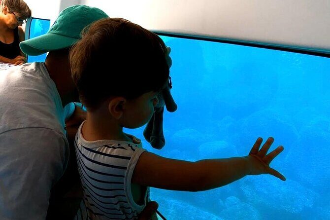 Semi-submarine: visit to the seabed of Porto Bay - What Is the Semi-Submarine Tour About?