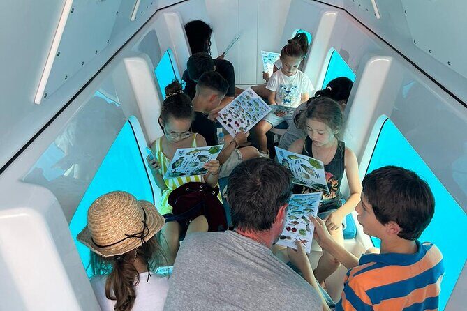 Semi-submarine: visit to the seabed of Porto Bay - What Does the Itinerary Look Like?