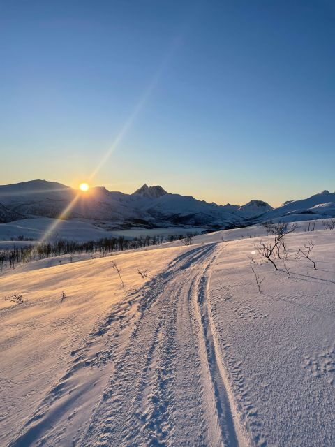 Senja Island: Winter Light Package Deal, 1 Day and 1 Night - Key Points