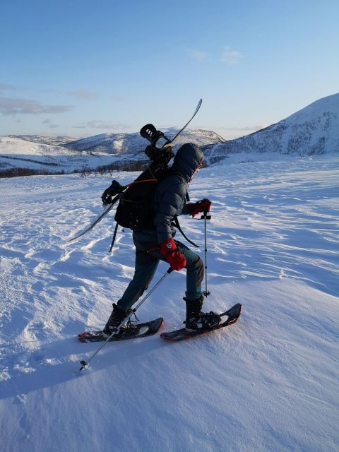 Senja Island: Winter Light Package Deal, 1 Day and 1 Night - Who Would Love This Tour?