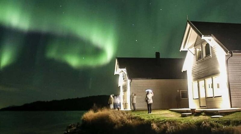 Senja: Wood-Fired Sauna Barrel - The Experience in Detail