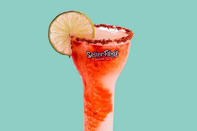 Señor Frog´s Party Pass With Drinks And Food - The Experience from Reviews and Insights