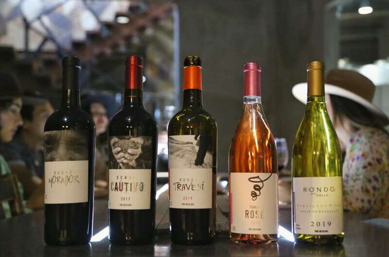 Sensory Wine Tasting with Chocolates at Rondo del Valle - Who Is This Experience Best For?