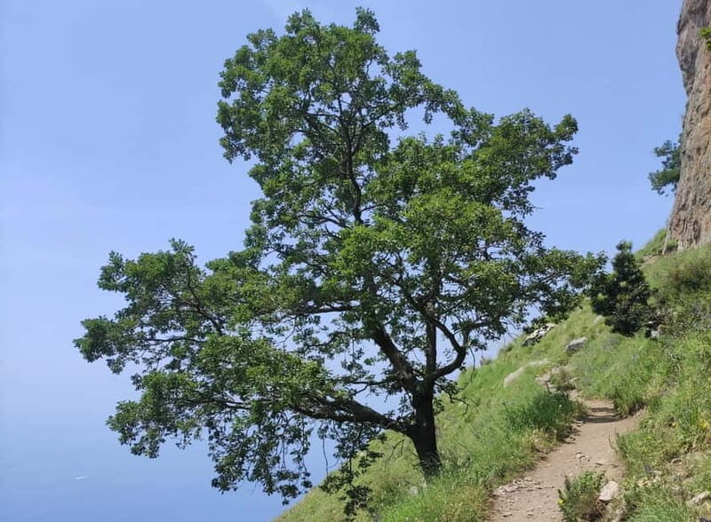 Sentiero degli Dei: Guided trekking on the Amalfi Coast - What to Bring and Tips for a Smooth Trek