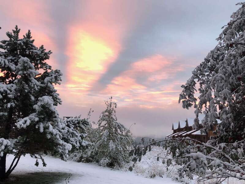 September 2025 British Columbia Rocky Mountain Birding Tour - Is It Worth the Price?