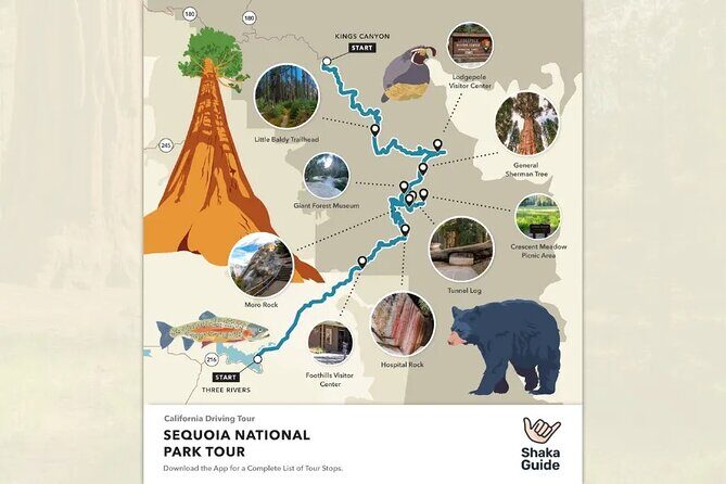 Sequoia and Kings Canyon Audio Tour Self Guide National Park Tour - What’s Included and What’s Not