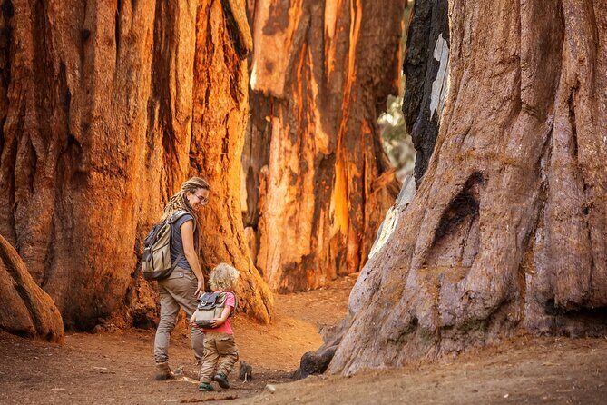Sequoia and Kings Canyon Audio Tour Self Guide National Park Tour - FAQs about the Sequoia and Kings Canyon Self-Guided Tour