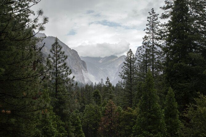 Sequoia Full Day Private Tour and Hike - Practical Tips for Making the Most of the Tour