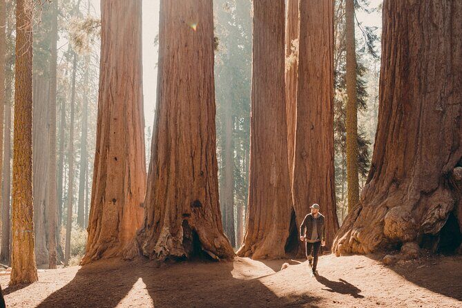 Sequoia & Kings Canyon Two Day Private Tour & Hike - Key Points
