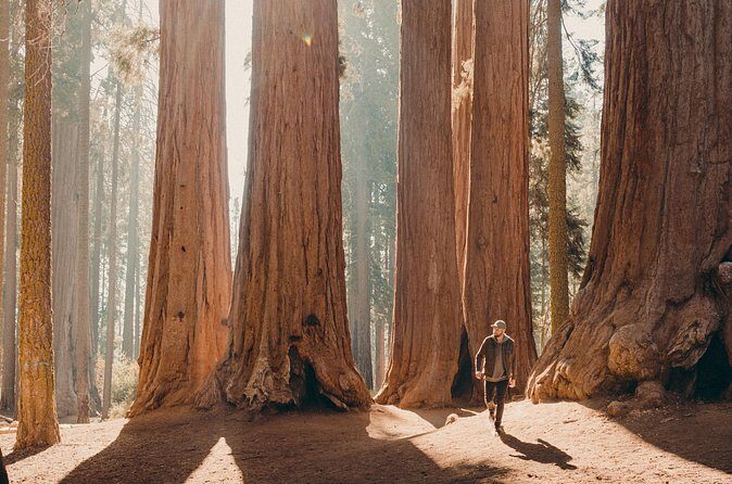 Sequoia & Kings Canyon Two Day Private Tour & Hike - FAQ