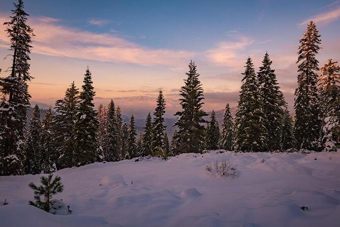 Sequoia National Park Adventure from Tulare - What to Expect on the Tour