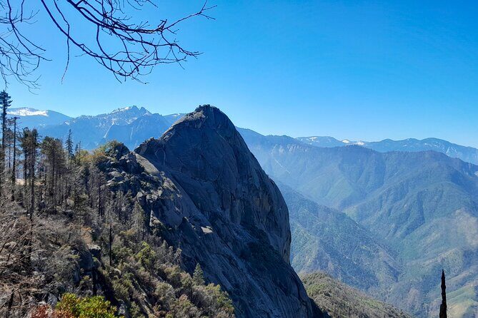 Sequoia National Park Private Tour - Booking and Practical Considerations