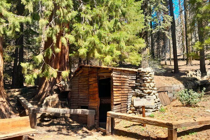 Sequoia National Park Private Tour - Who Is This Tour Best For?