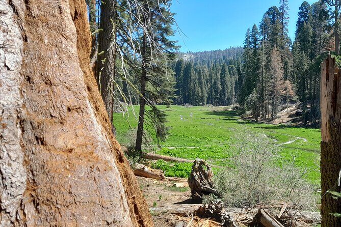 Sequoia National Park Private Tour - Final Thoughts