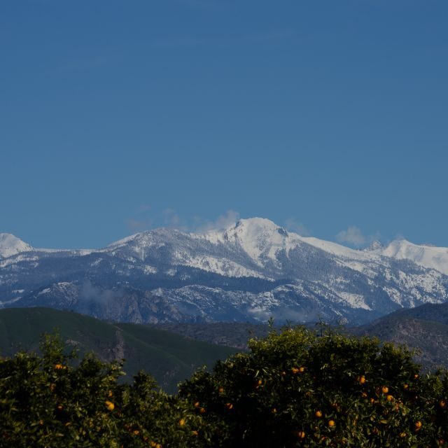 Sequoia National Park: Sherman Tree & Congress Trail Walk - Key Points