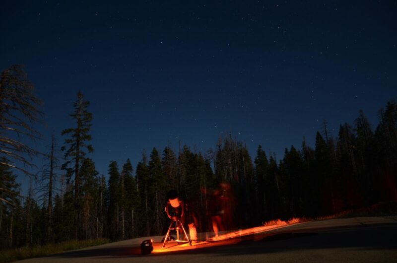 Sequoia National Park: Sherman Tree & Congress Trail Walk - An In-Depth Look at the Sherman Tree & Congress Trail Walk