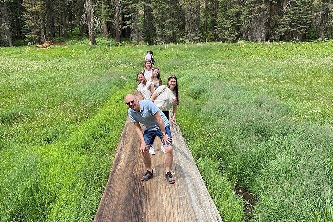 Sequoia National Park Small Group Tour from Three Rivers - What Makes This Tour Stand Out?