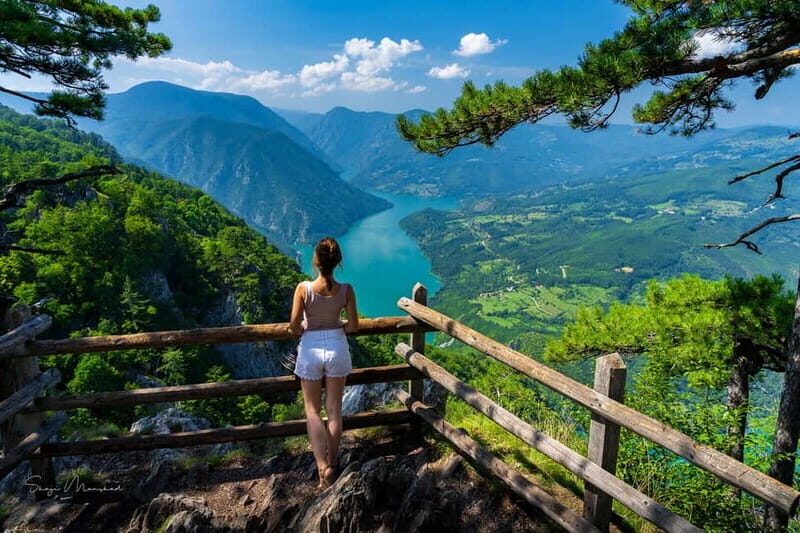Serbia: Drina River House & Tara National Park Full Day Tour - Discovering Serbia’s Hidden Gems: The Drina River House & Tara National Park Full Day Tour