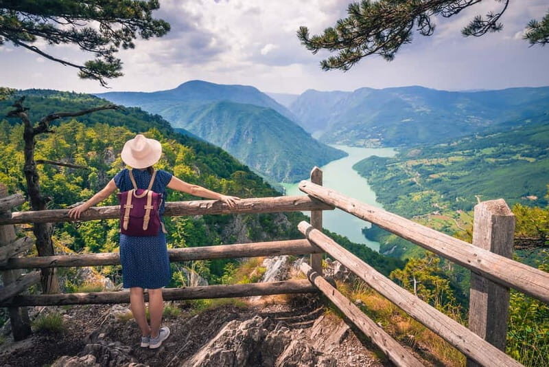 Serbia: Drina River House & Tara National Park Full Day Tour - Key Points