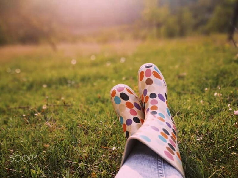 Serbia: Drina River House & Tara National Park Full Day Tour - FAQs