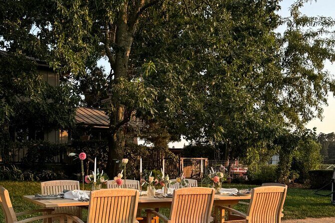 Serene and Romantic Wine Tasting Next to the Vines in Napa Valley - The Value and Who It’s For