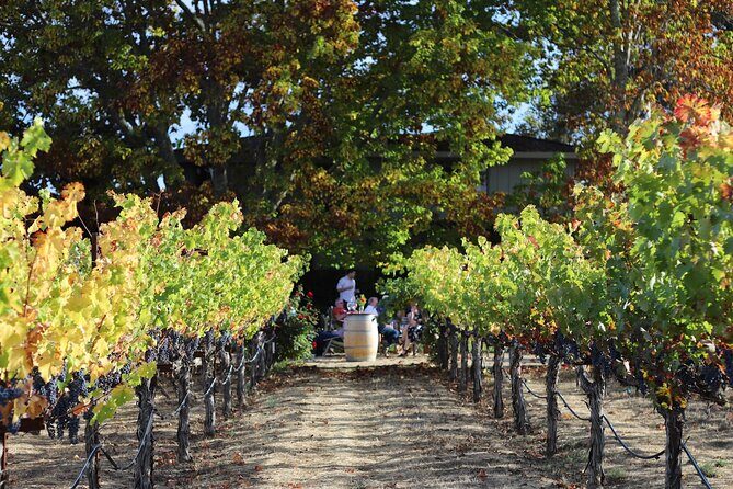 Serene and Romantic Wine Tasting Next to the Vines in Napa Valley - FAQs