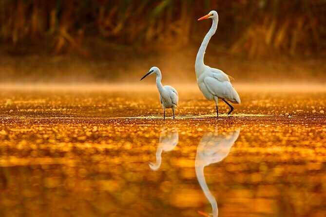 Serenity Cruise to Australia's Everglades - Who Should Consider This Tour?