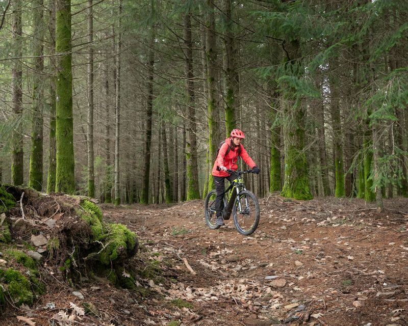 Serra da Estrela: Private E-Bike Tour with Observatory - Key Points