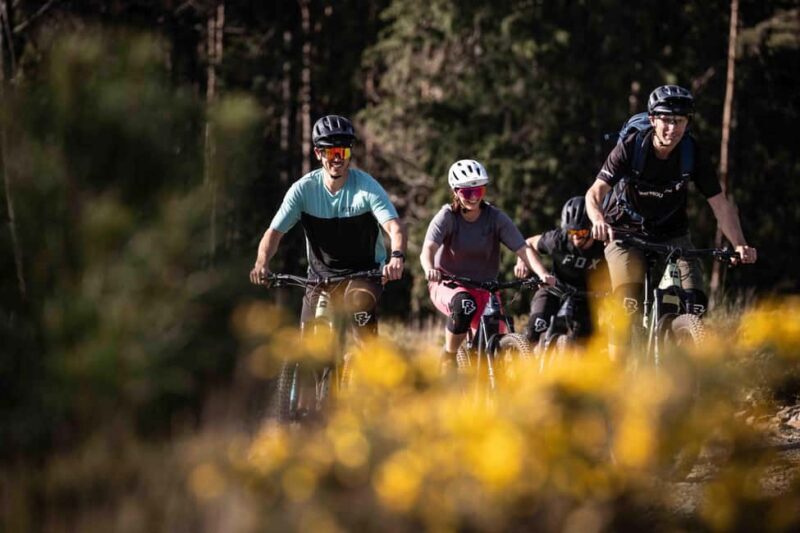 Serra da Lousã: Aldeias do Xisto Bike Tour with Local Guide - What to Expect from the Serra da Lousã Bike Tour