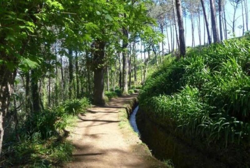Serra dÁgua: A Scenic Levada Walk - Exploring the Serra d’Água Experience