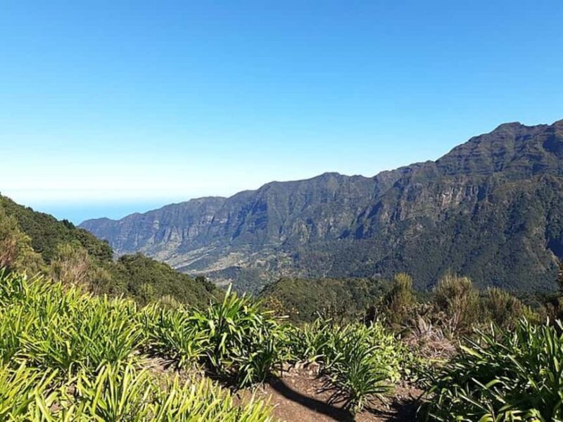 Serra dÁgua: A Scenic Levada Walk - Who Should Consider This Tour?