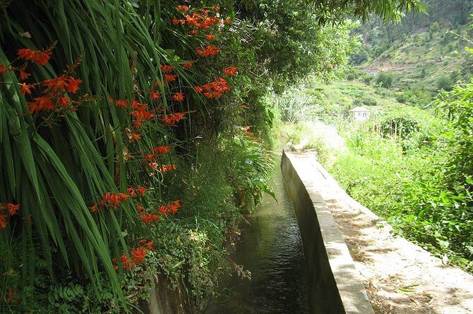 Serra D'Água Valley - Levada Walk - The Guide: Knowledgeable and Friendly