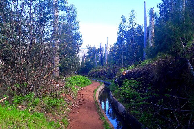 Serra D'Água Valley - Levada Walk - Who Would Enjoy This Tour?