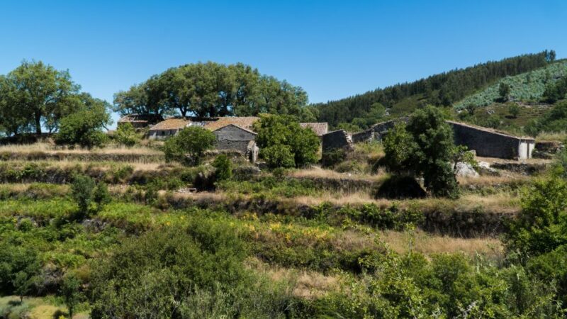 Serra de Monchique & Bravura Half Day Off-Road Day Trip - Exploring the Algarve’s Hidden Gem: Serra de Monchique & Bravura Half Day Off-Road Trip