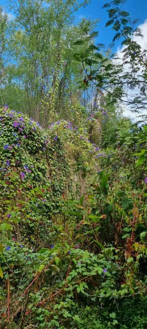 Serra de Monchique: Jeep tour with picnic included - A Detailed Look at the Serra de Monchique Jeep Tour