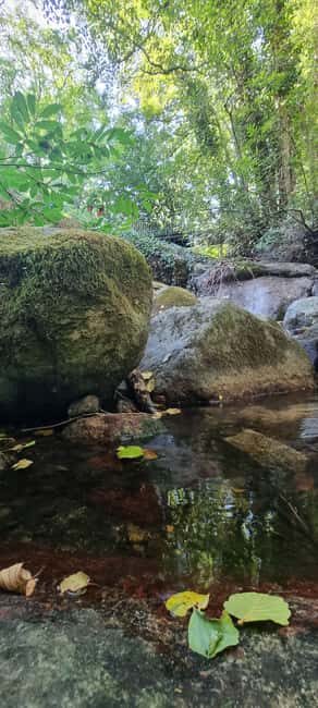 Serra de Monchique: Jeep tour with picnic included - The Value and Who Would Enjoy This
