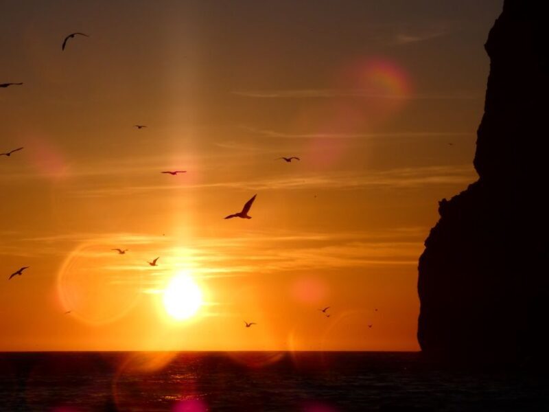 Sesimbra: Arrábida Natural Park Cabo Espichel Sunset Tour - The Itinerary in Detail: What to Expect from This Coastal Adventure