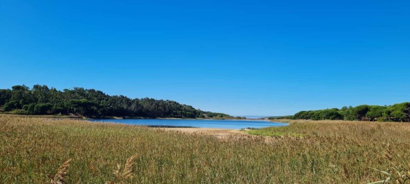 Sesimbra: Birdwatching Experience with Local Delights - An In-Depth Look at the Experience