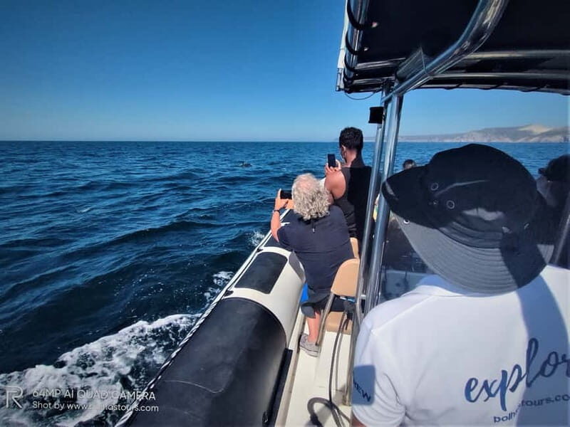Sesimbra: Dolphin and Whales Watching with Biologist Guide - What to Expect from the Tour