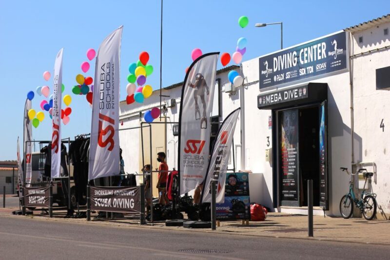 Sesimbra: Dolphin Watching with a marine biologist - Price and Value