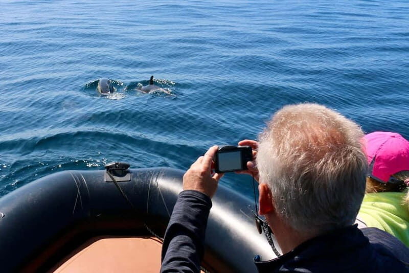 Sesimbra: Dolphin watching with marine biologist - Who Should Consider This Tour?